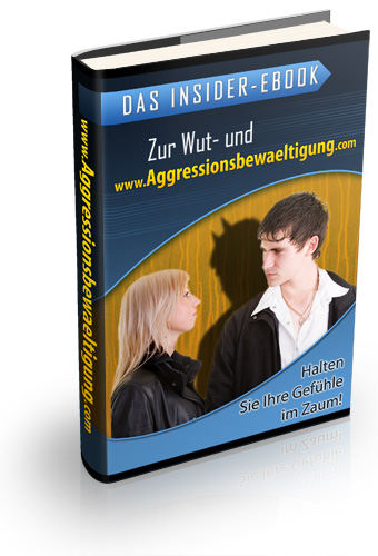 Ebook Wut- und Aggressionsbewältigung