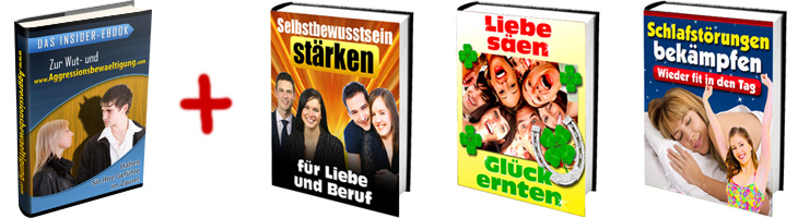 Ebook Wut- und Aggressionsbewältigung - keine Wutanfälle, Aggression und Streit - sondern ein glückliches und harmonisches Leben!