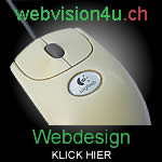 Webvision4u - Webdesign / Webhosting