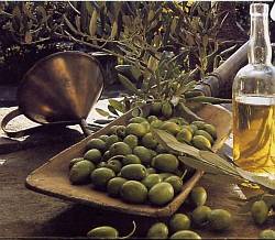 Oliven aus Kreta