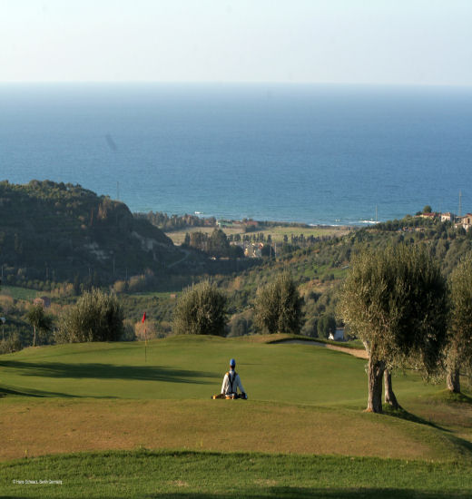 CAMPO.PANORAMA 520x550.jpg