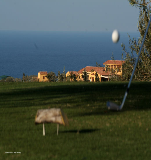 TEE 520x550.jpg