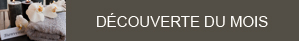 apres-midi_decouverte
