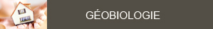 geobiologie