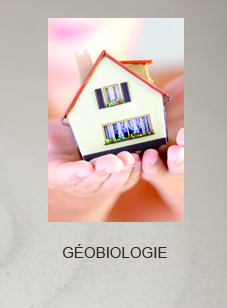 GEOBIOLOGIE