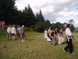 une promenade au pays des sucs