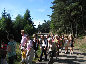 rando 2009