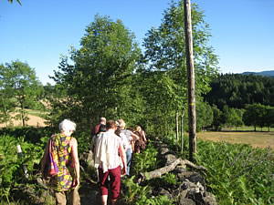 rando 2009