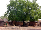 CIMG0462.jpg