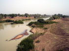 CIMG0449.jpg
