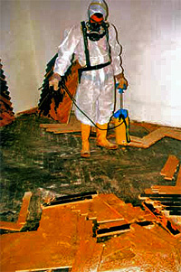 PAK Sanierung