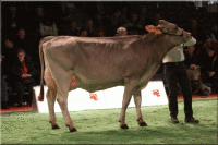 Swiss Expo 2009
