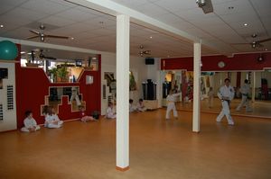 Selbstverteidigung, mentales Training und Selbstbeherrschung - Kinder TaekwonDo bei Acti-Fit, Nieder-Olm (Mainz)