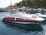 Charter Motoryacht Glastron DX 215