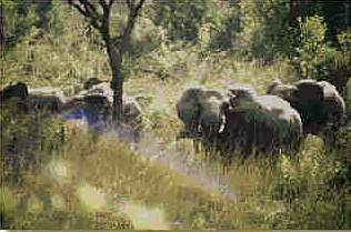 Kamerun, Afrika Reise, Afrika Trekking, Abenteuer Reise