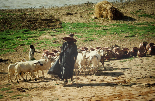 Mali, Mali Reise, Mali Reisen, Mali Trekking, Mali Abenteuerreise, Timbuktu, Dogons