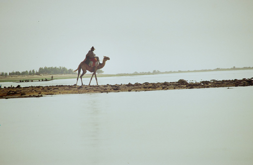 Mali, Mali Reise, Mali Reisen, Mali Trekking, Mali Abenteuerreise, Timbuktu