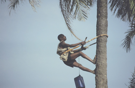 Senegal, Gambia, Afrika Reise, Afrika Trekking, Abenteuer Reise 