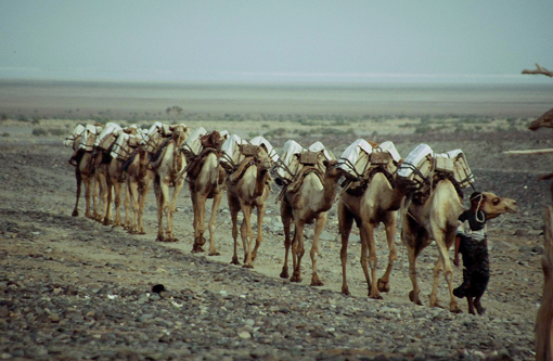 &Auml;thiopien, Danakil, Afrika Reise, Afrika Trekking