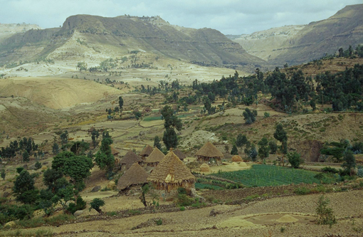  &Auml;thiopien, Semien Nationalpark, Afrika Reise, Afrika Trekking, Abenteuer Reise
