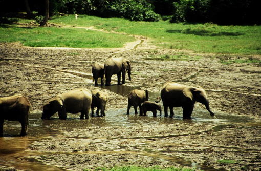 Zentral-Afrika, Afrika Reise, Afrika Trekking, Abenteuer Reise