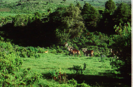 Zentral-Afrika, Afrika Reise, Afrika Trekking, Abenteuer Reise