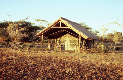 Tansania, Kilimanjaro, Serengeti, Afrika Reise, Afrika Trekking