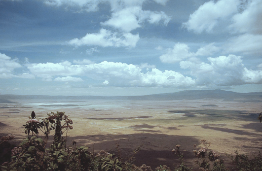 Tansania, Kilimanjaro, Serengeti, Afrika Reise, Afrika Trekking