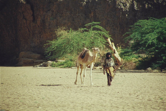 Algerien, Sahara, Kameltrekking, Afrika Trekking, Abenteuer Reise 