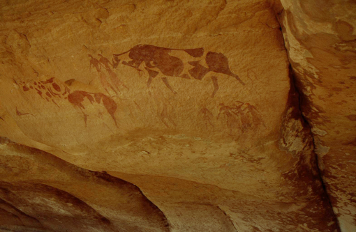 Algerien, Sahara, Afrika Reise, Afrika Trekking, Abenteuer Reise 