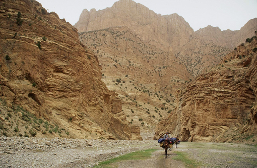 Marokko, Sahara, Marrkesch, Afrika Reise, Afrika Trekking
