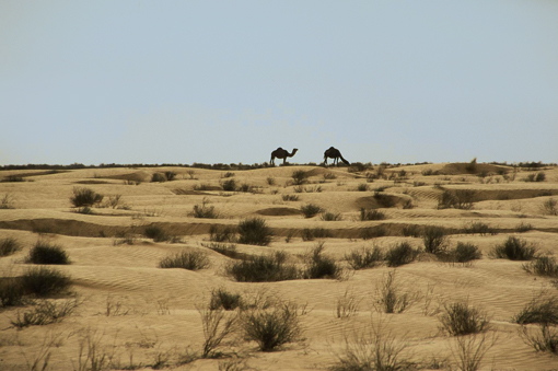 Tunesien, Afrika Reise, Afrika Trekking, Abenteuer Reise