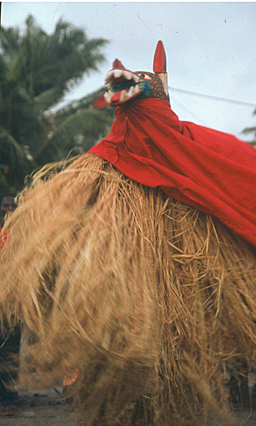 Benin Reise, Benin Maskenfest, Cotonou