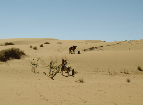 Mauretanien, Sahara, Kameltrekking, Afrika Reise, Afrika Trekking