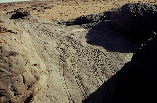 Niger, Iferouane, Agadez, W&uuml;stentour, Kameltrekking