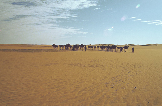 Niger, Iferouane, Agadez, W&uuml;stentour, Kameltrekking