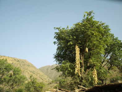 Kamerun, Afrika Reise, Afrika Trekking, Abenteuer Reise