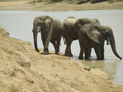 Kamerun, Afrika Reise, Afrika Trekking, Abenteuer Reise