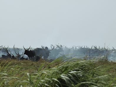 Kamerun, Afrika Reise, Afrika Trekking, Abenteuer Reise