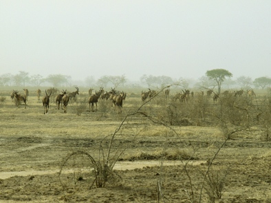 Kamerun, Afrika Reise, Afrika Trekking, Abenteuer Reise