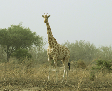 Kamerun, Afrika Reise, Afrika Trekking, Abenteuer Reise