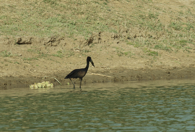 Kamerun, Afrika Reise, Afrika Trekking, Abenteuer Reise