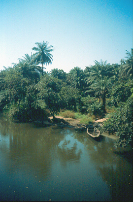 Guinea, Senegal, Afrika Reise, Afrika Trekking, Abenteuer Reise