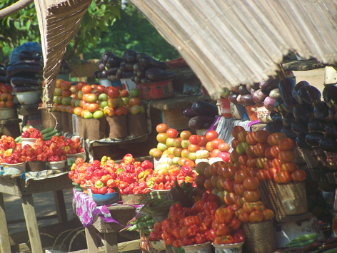 Guinea, Senegal, Afrika Reise, Afrika Trekking, Abenteuer Reise