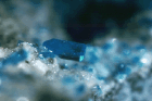 Photo 086