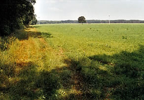 Anbau der Agrarproduktion L&uuml;btheen