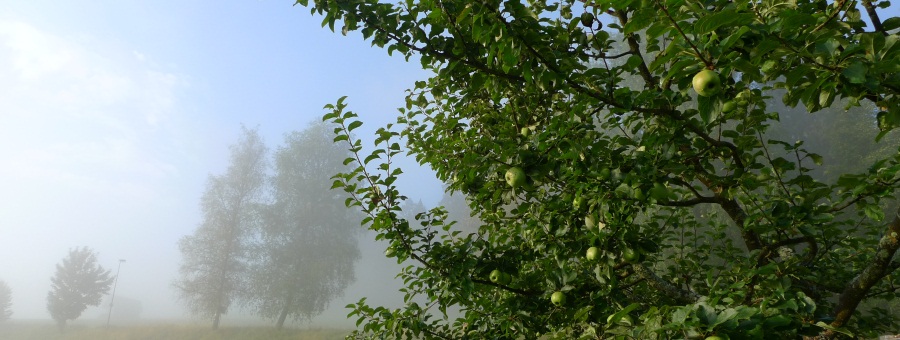 l1010298.JPG