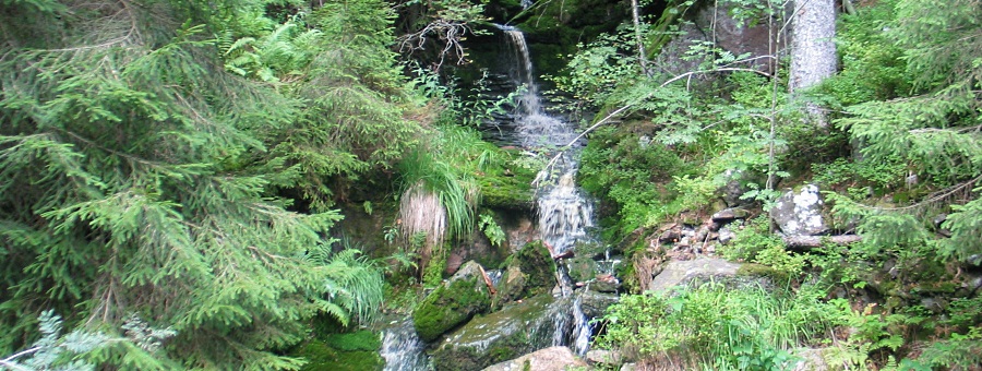 223-2400.JPG