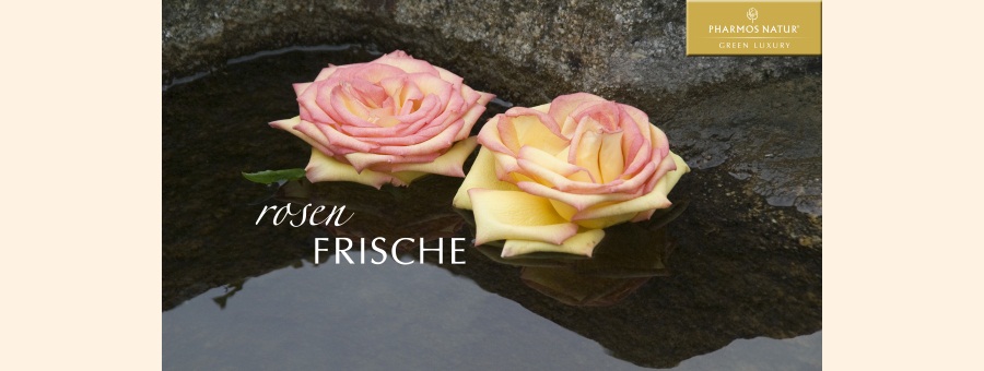 bild7.jpg