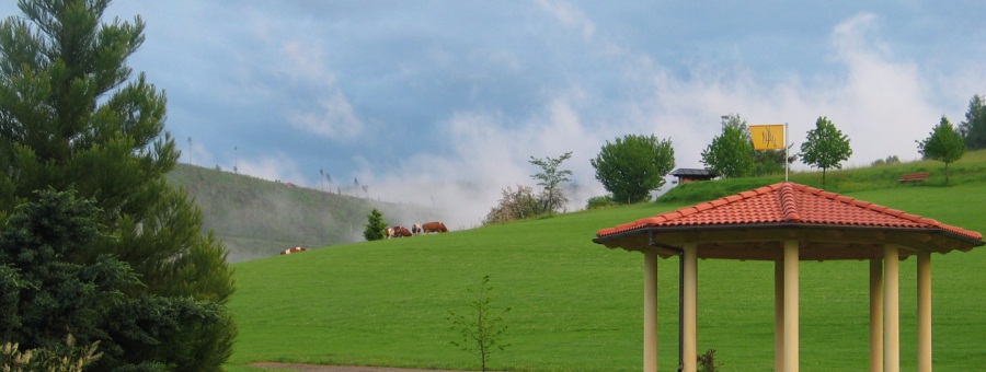 123-2385.JPG
